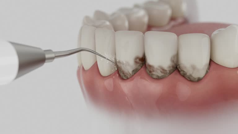 Reliable Dental contractor in Bad Axe, MI by Dentist Open Now